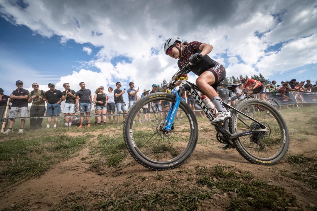 5a6df631-7965-4171-8c9e-19c4be6215f3